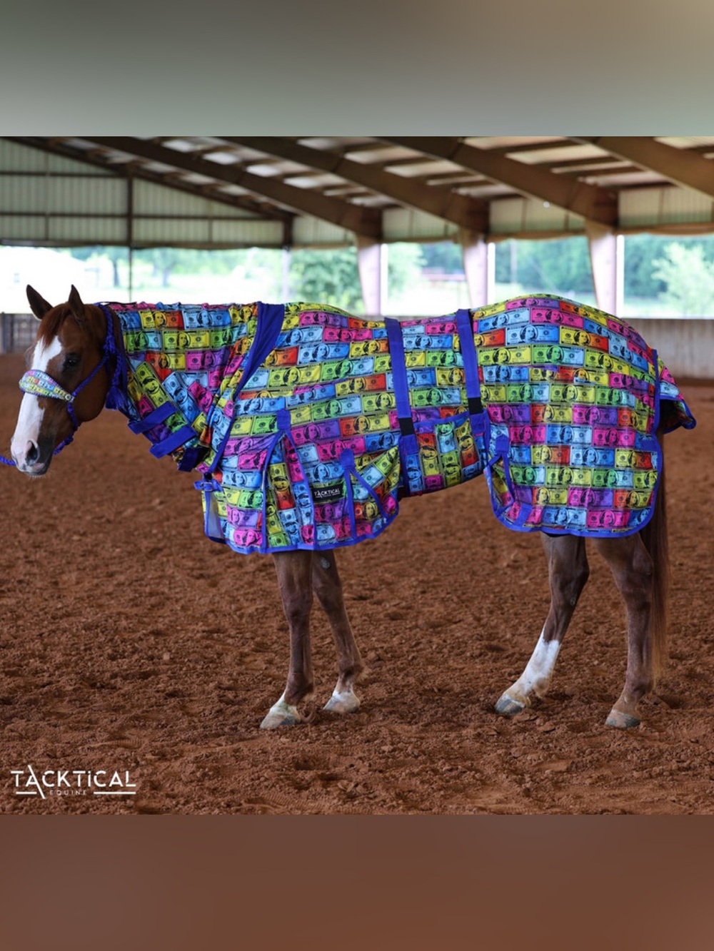 Tacktical Benji Mesh Combo Fly Sheet